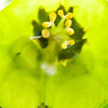 轰炸手机号在线使用